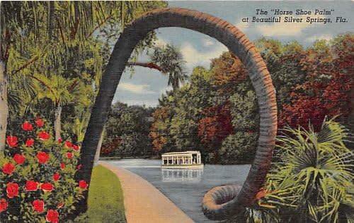 Silver Springs, Florida Kartpostalı