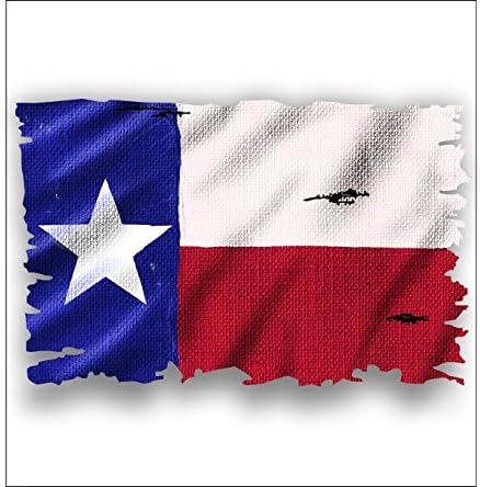 Vinil Bağımlısı Grafik Texas Çuval Bezi Bayrağı Etiket / Çıkartma