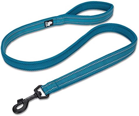 GERÇEK AŞK Yansıtıcı Köpek Tasma Köpek Yürüyüş Kurşun, Yastıklı Pet Zincir Halat,Uzunluk 200cm Truelove TLL2111 (Mavi,