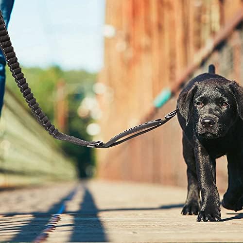 Petvins Ağır Bungee Köpek Tasma için Büyük Orta Köpekler-6 Ft Yansıtıcı Köpek Şok Emici Eğitim Tasma ile Çift Trafik